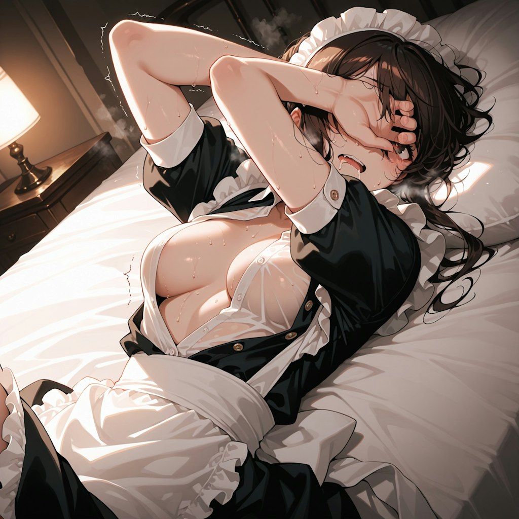 メイドさんはナニかの後