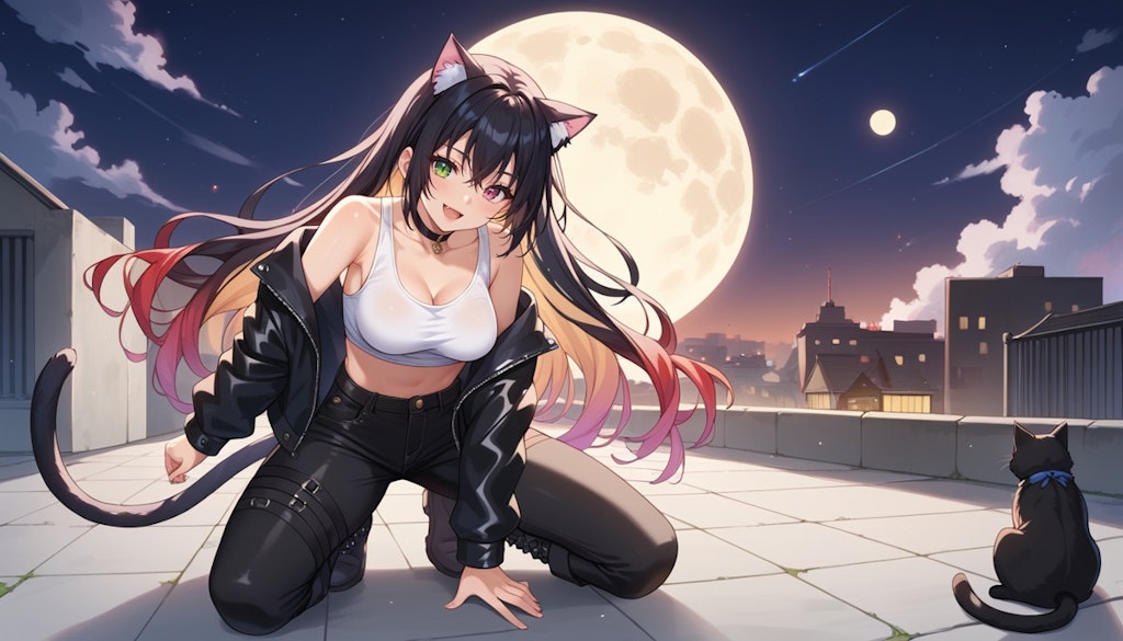 月夜の黒猫