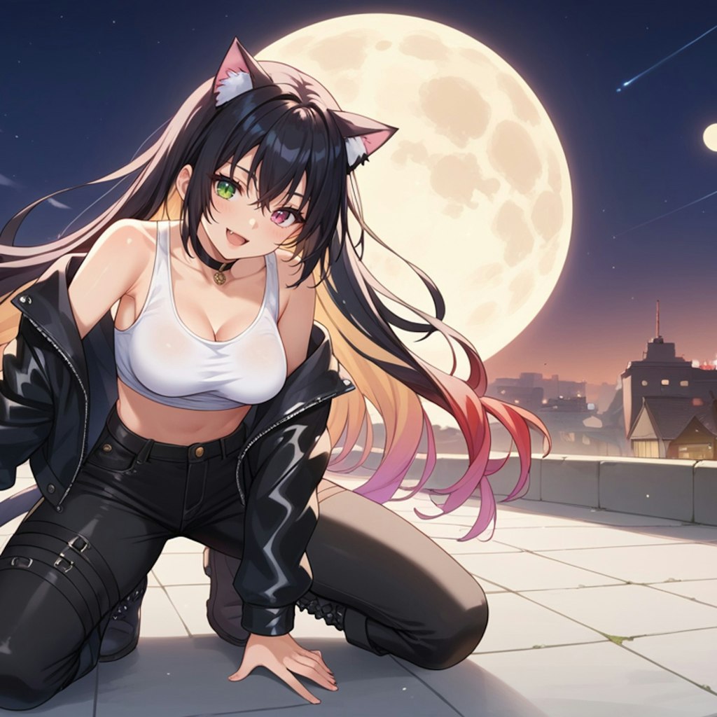 月夜の黒猫