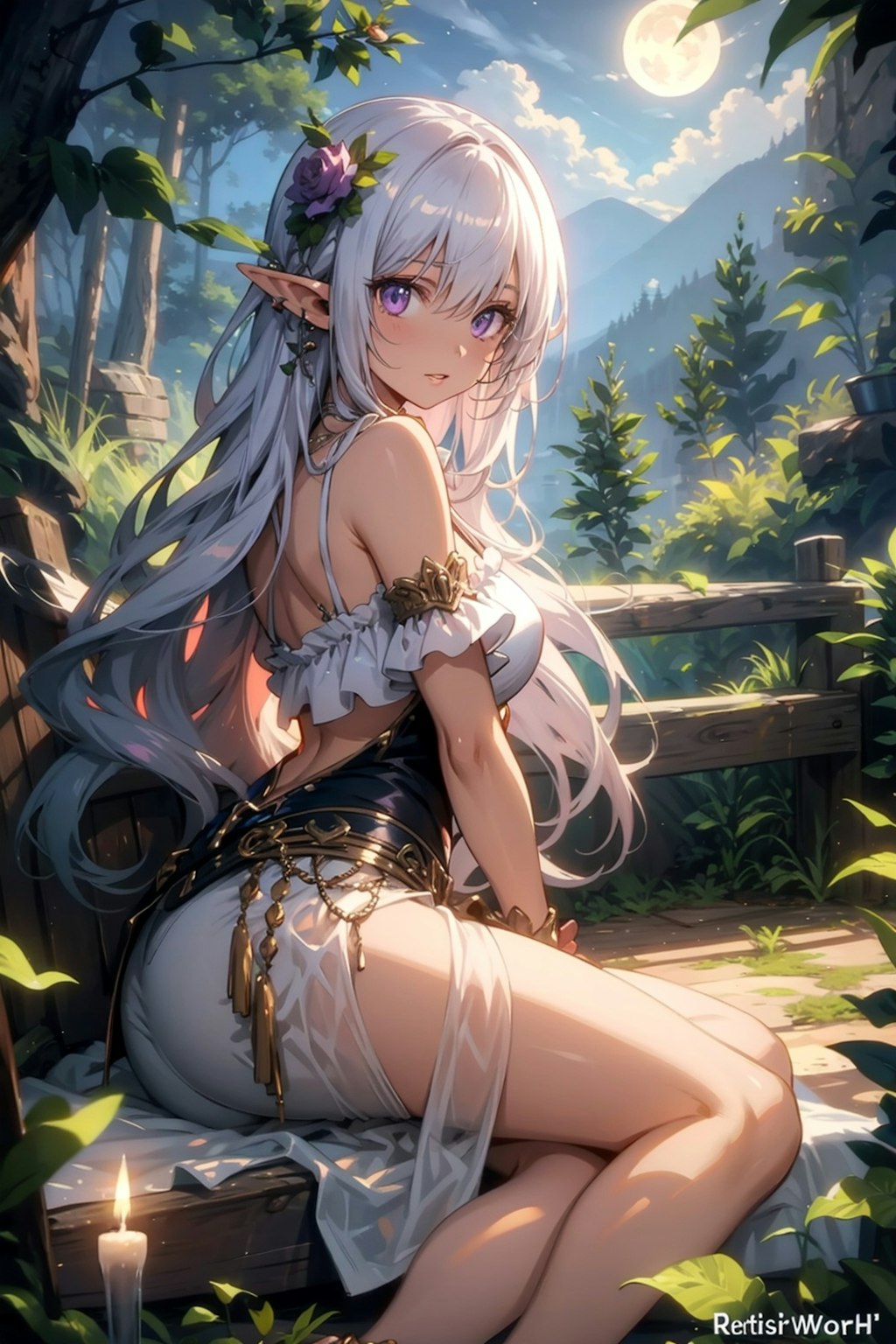 月夜とエルフ