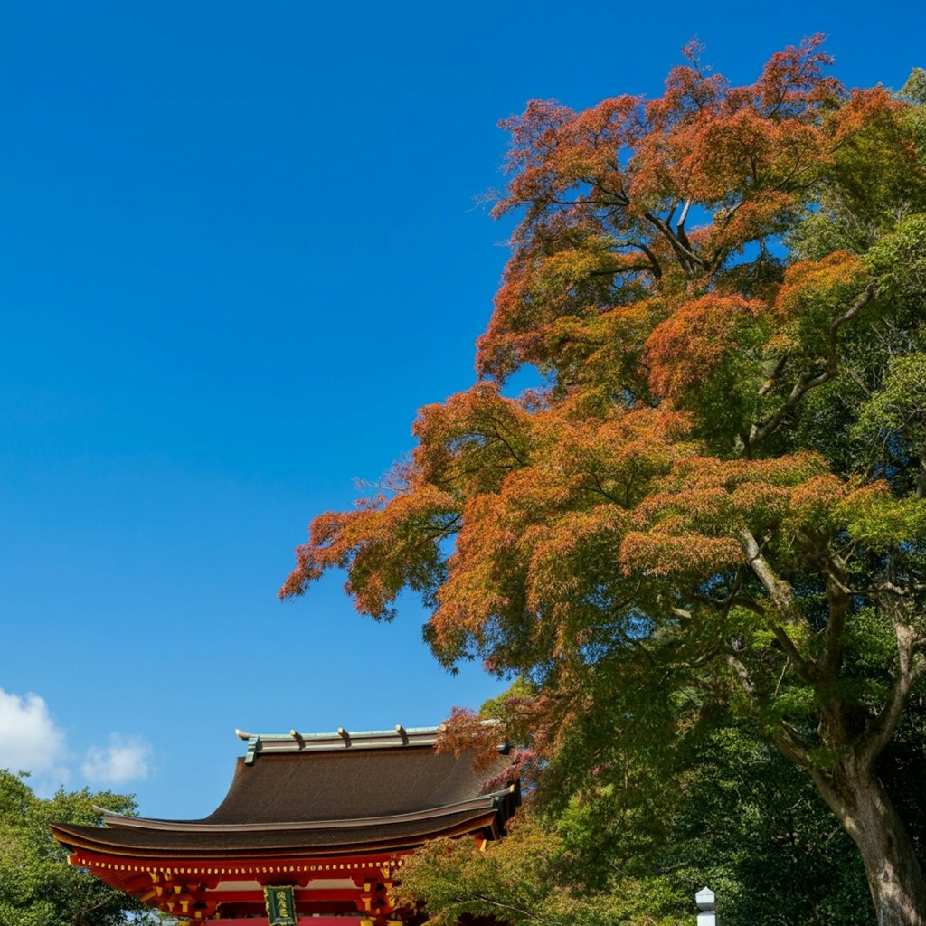 自然豊かな神社