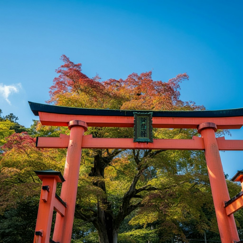 自然豊かな神社