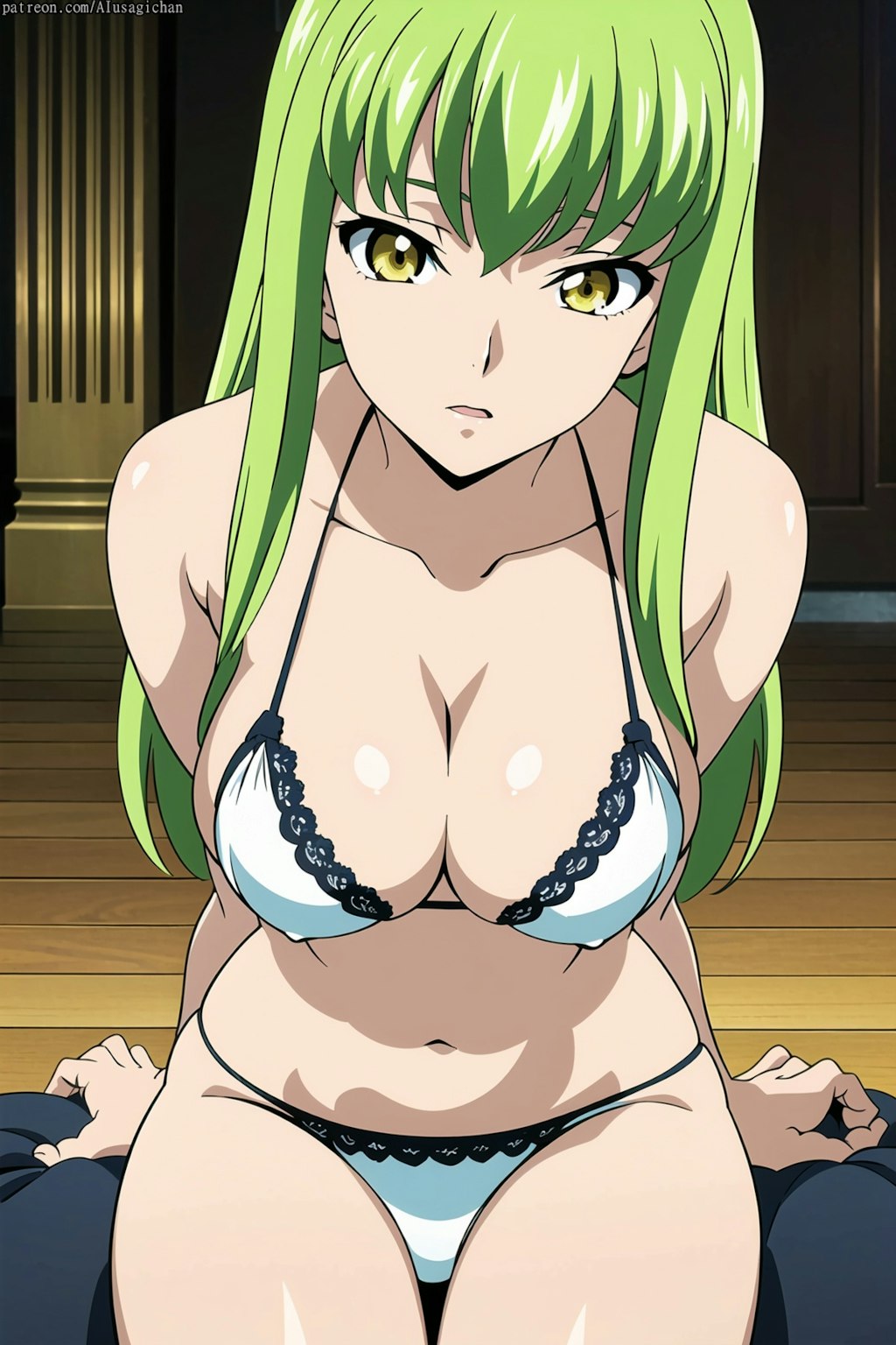 コードギアス Code Geass C.C. 108枚