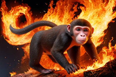 猿も火から脱出