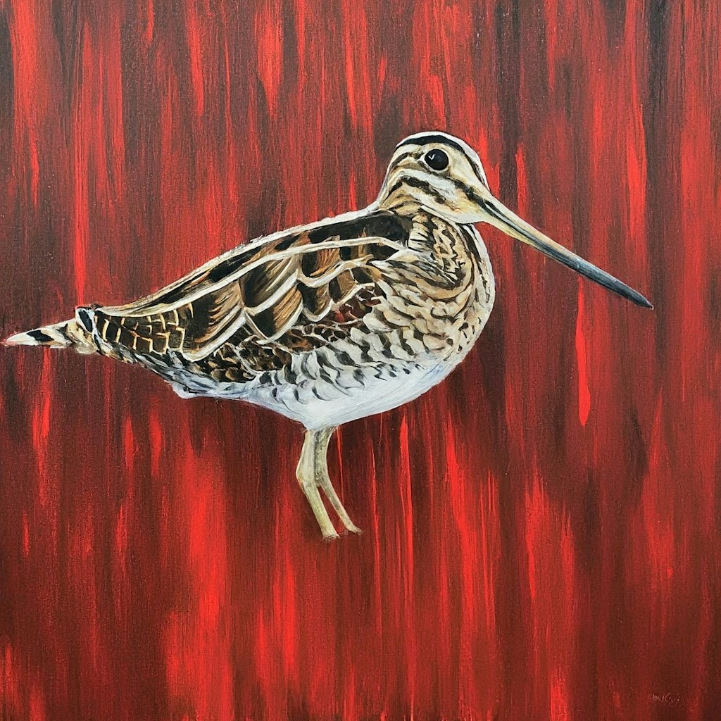 Snipe in red pond