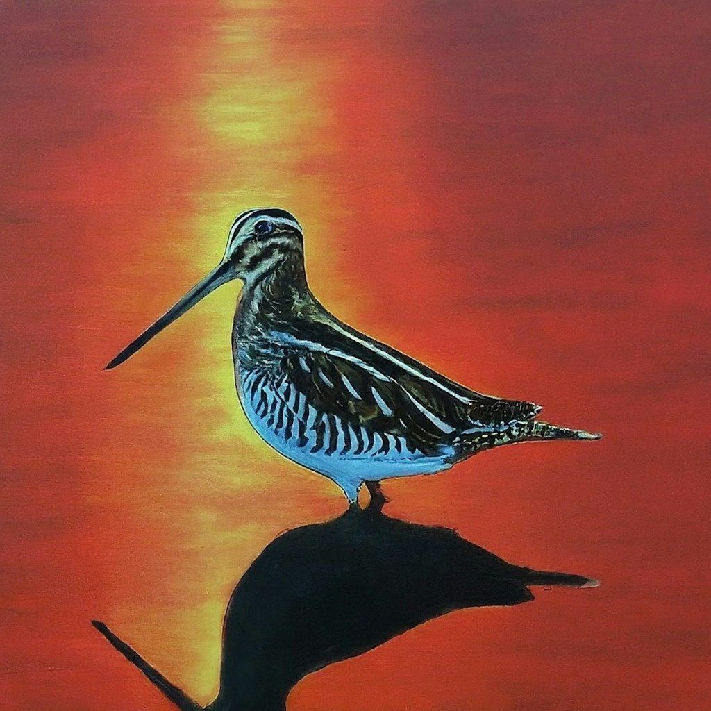 Snipe in red pond