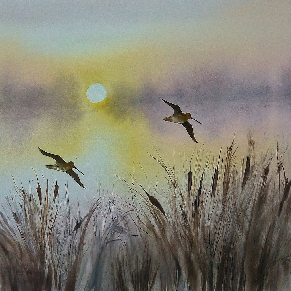 Shorebirds at dusk
