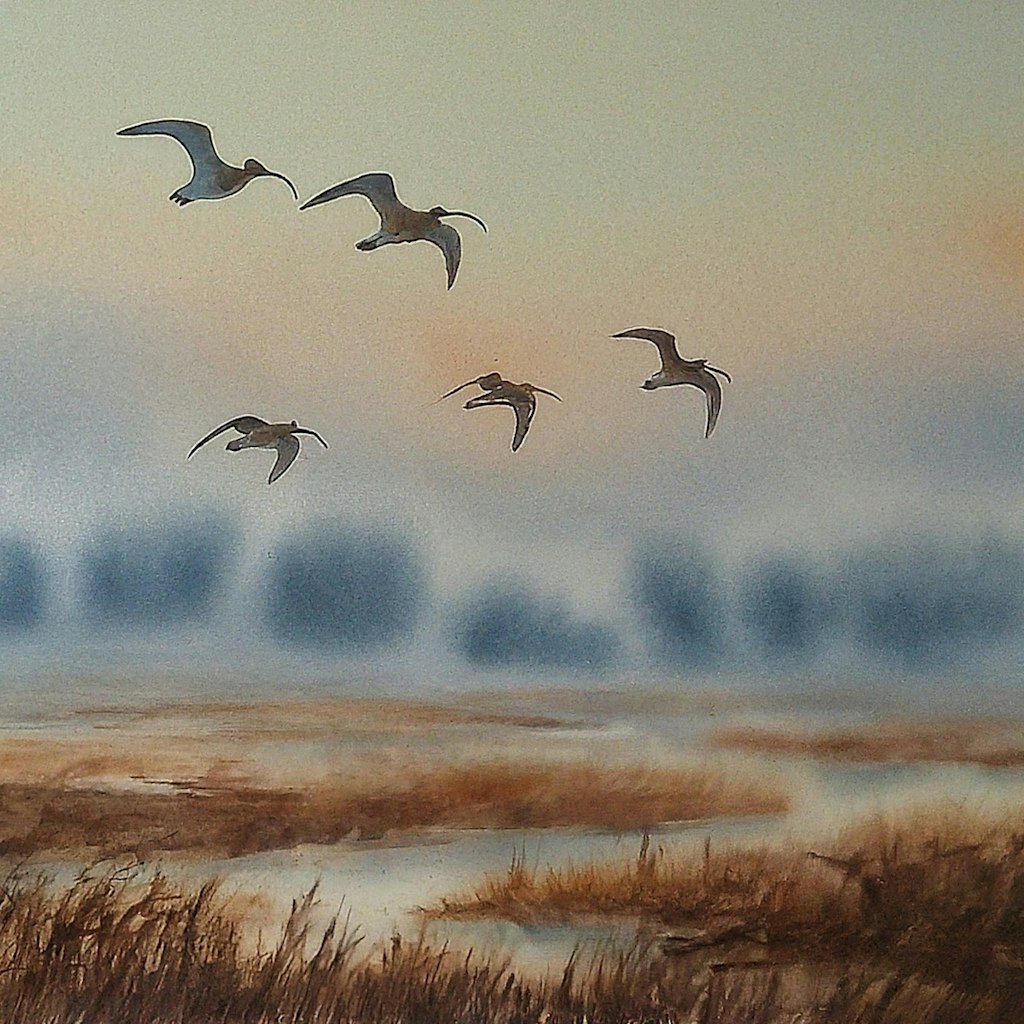 Shorebirds at dusk