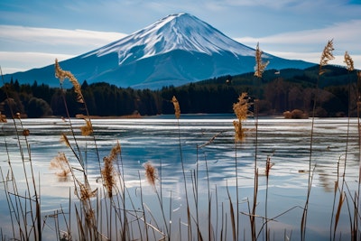 PHOTO Fuji Mountain-3