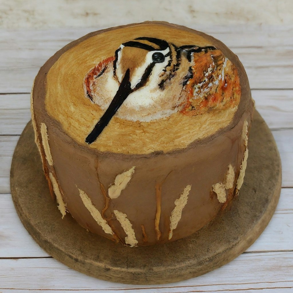 Shorebird cakes