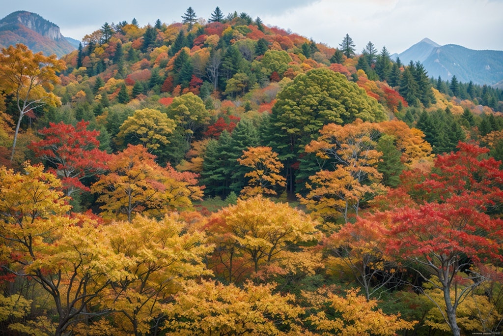 リアル紅葉