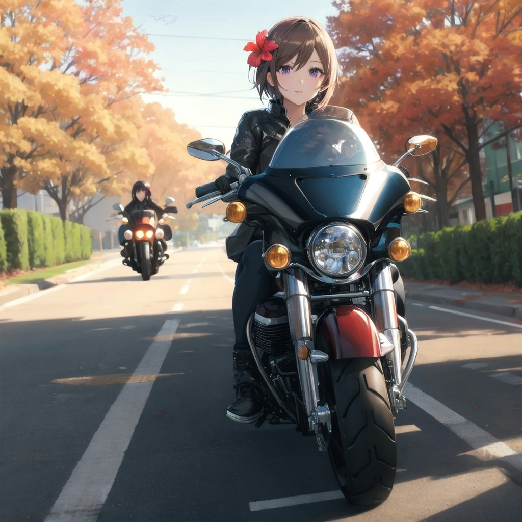 デカいバイクに挑戦