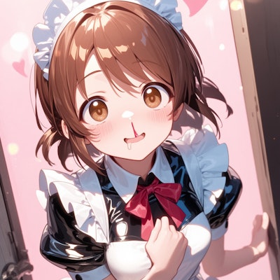 メイド服の早苗さん