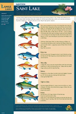 セントレイク湖の魚類図鑑の１ページ３