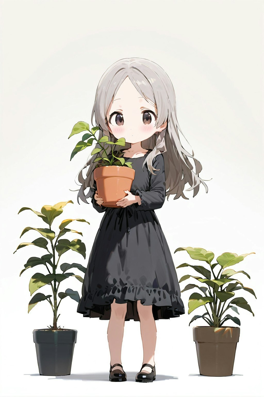 鉢植え