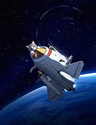 宇宙に飛び立つ猫