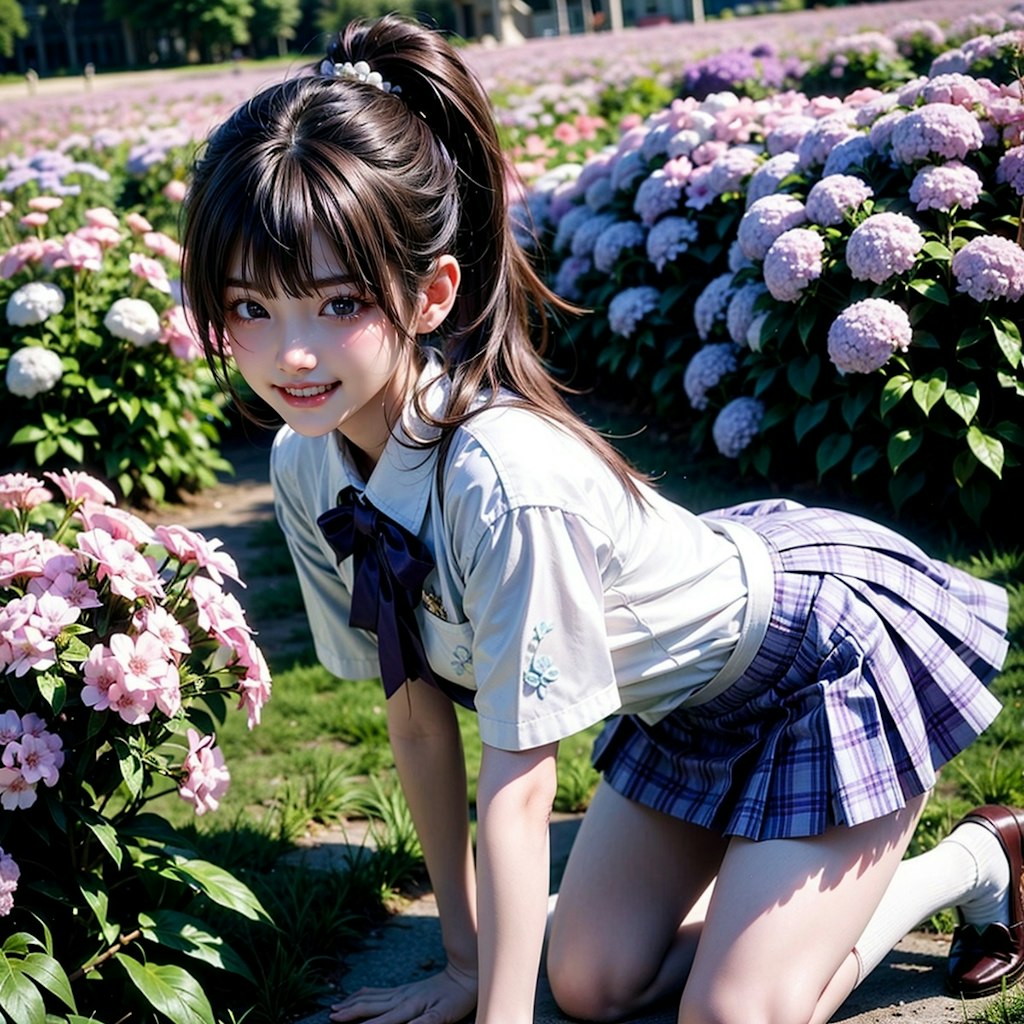 Phlox Flower Girl