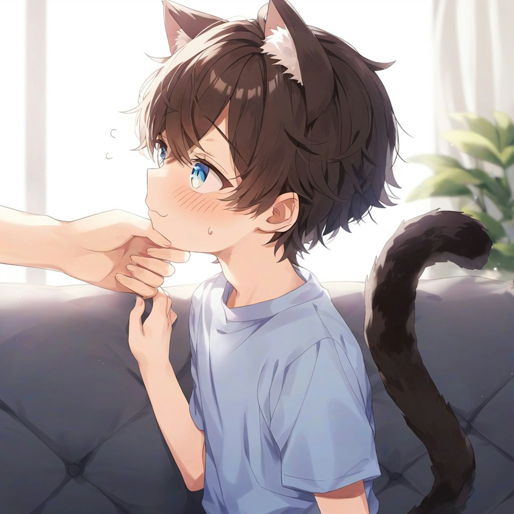 猫耳少年