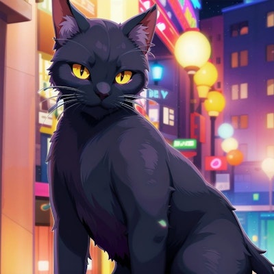 黒猫 23
