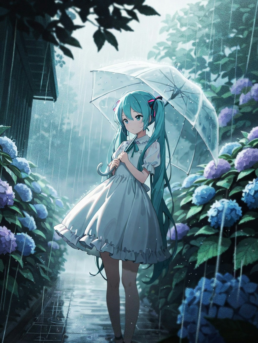 6月の雨