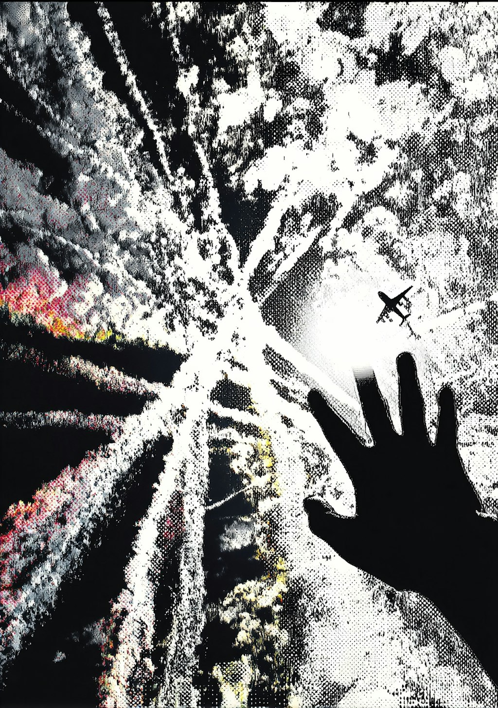 少年と空