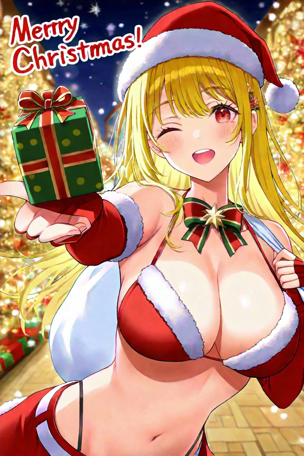 👙サンタからの🎄🎁❤️