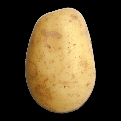 Potato2Potato (Img2Img)