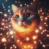 光の粒子と猫