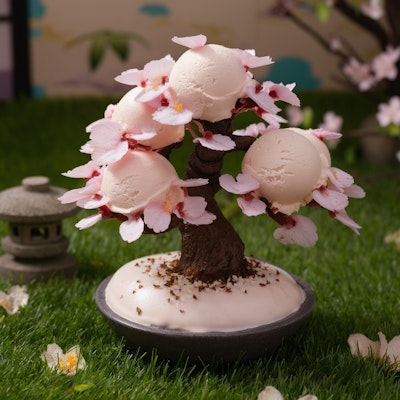 桜の木の盆栽のアイス
