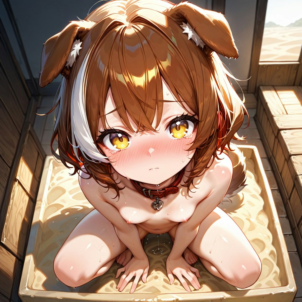 ゴメンなさい、次は間違えません。