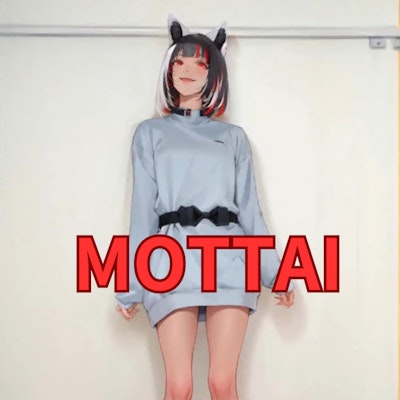 【動画】「MOTTAI」を踊ってみた【MISAKIN 様】【めんたるさん】