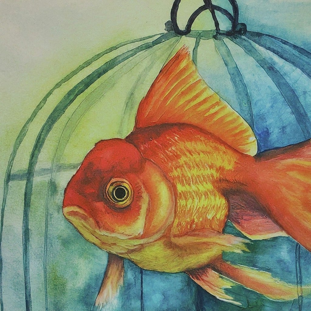 Fish in the bird cage