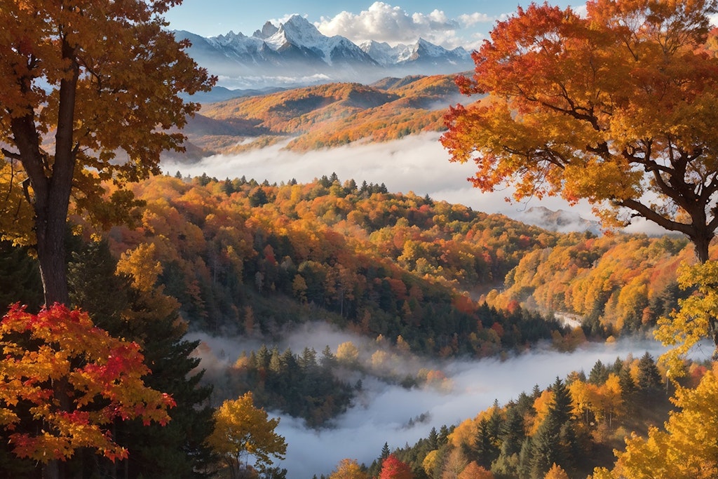 紅葉と雲海