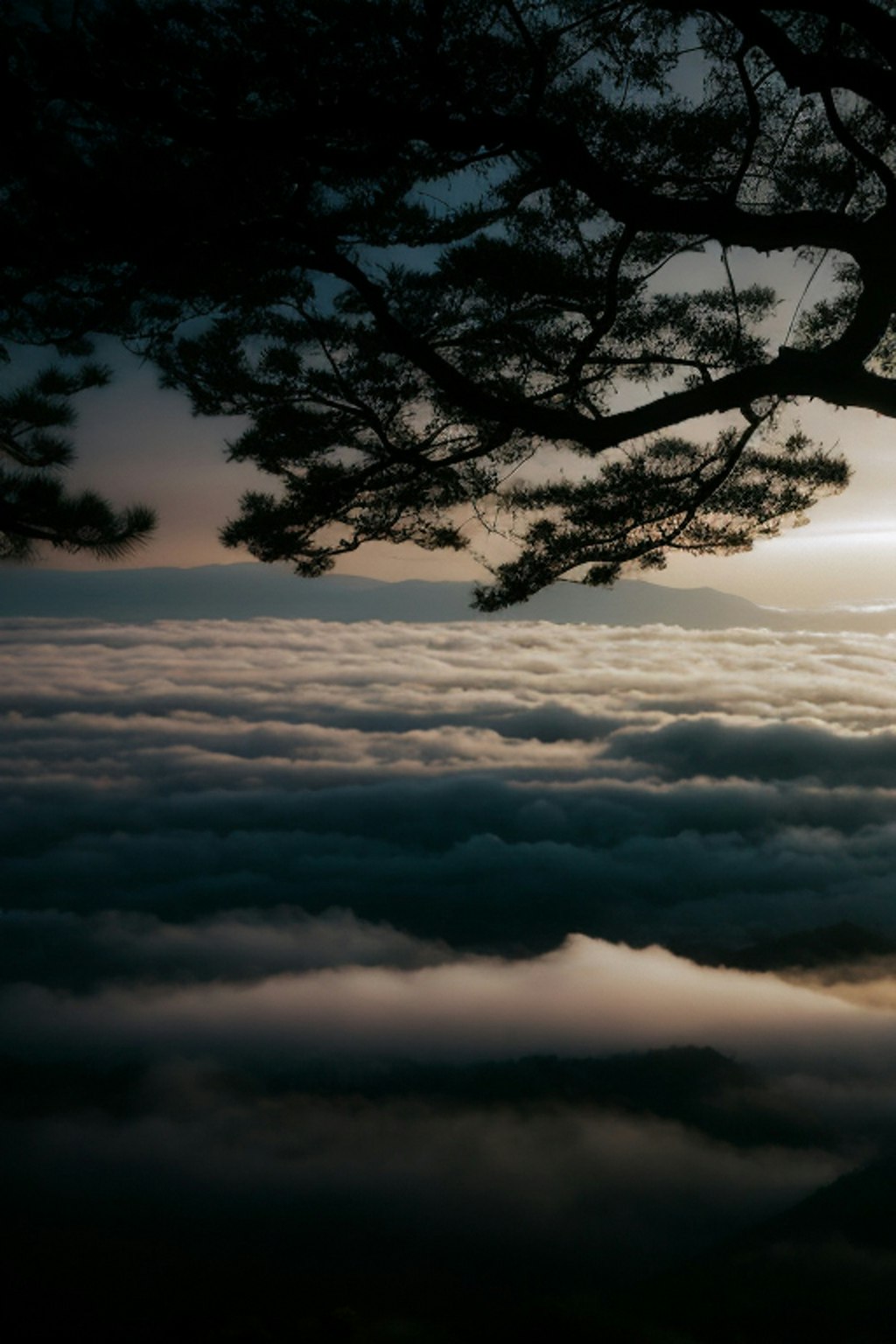 雲海