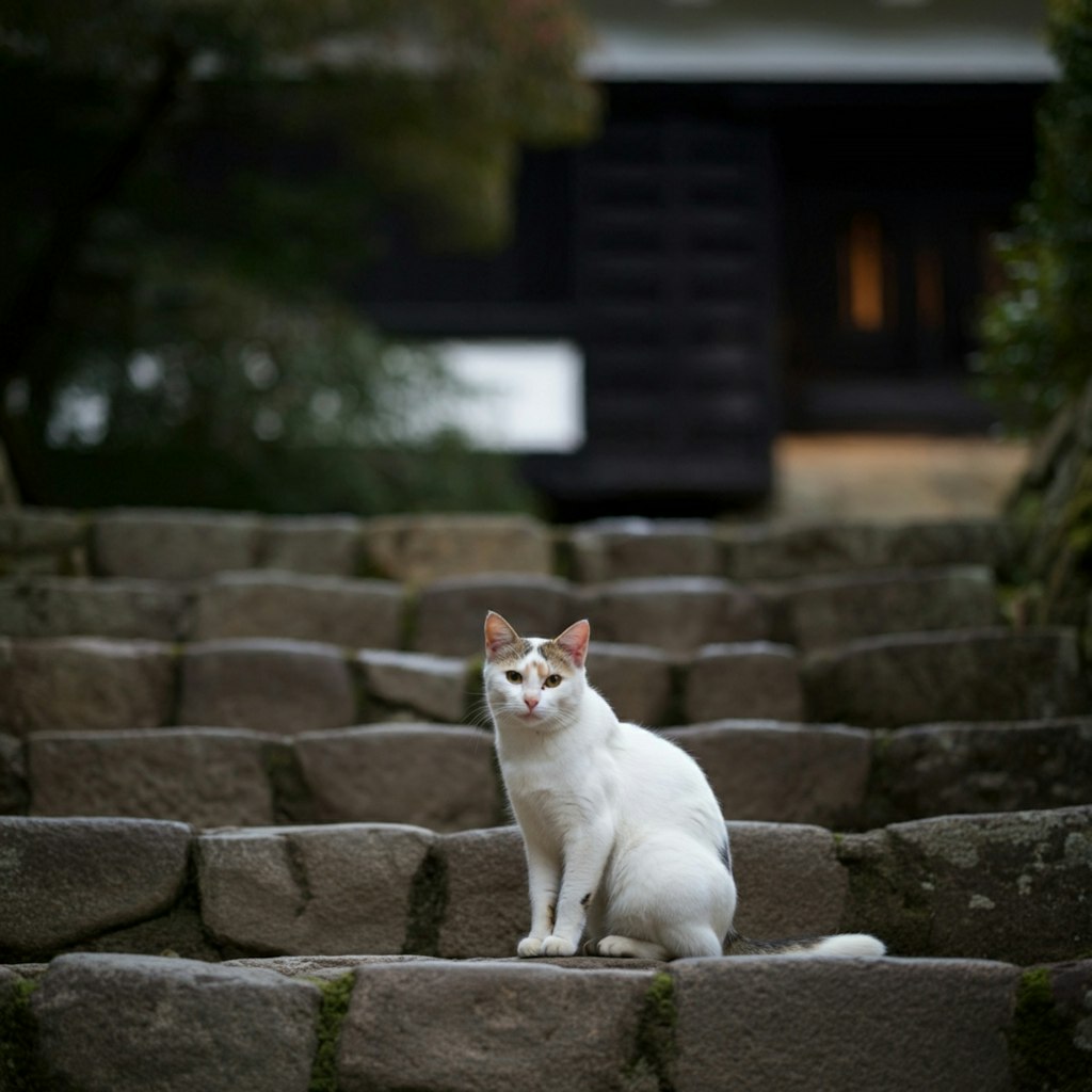 和城探訪