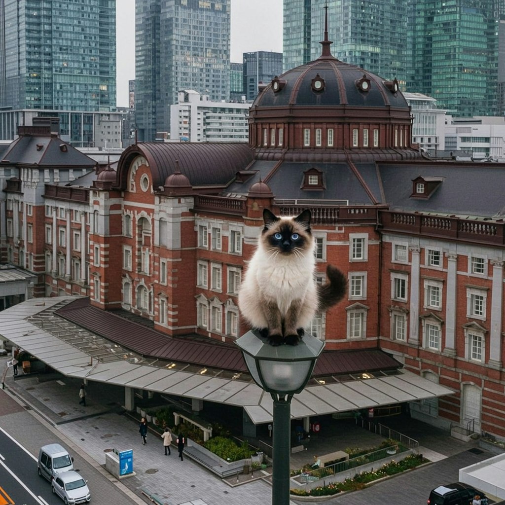 東京都千代田区 - 東京駅