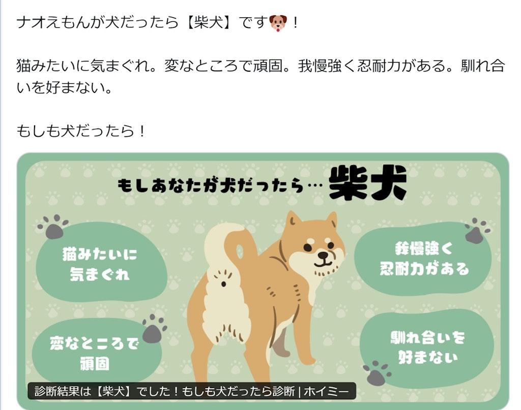 柴犬だわん(＾ω＾)