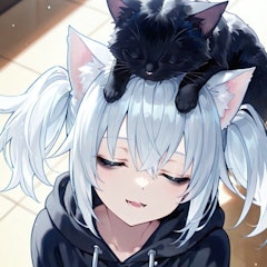 46猫